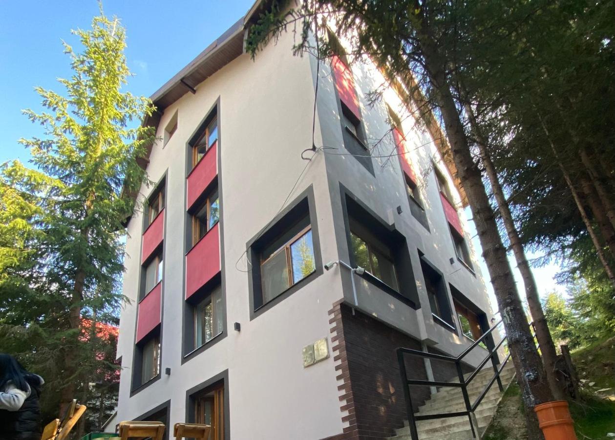 Altitude Guest House 란카 외부 사진